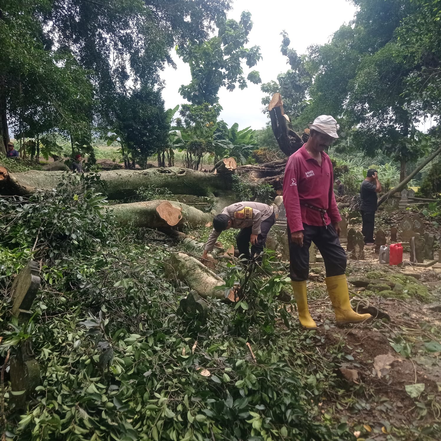 Bhabinkamtibmas Polsubsektor Sindang Polsek Sukahaji Bantu Masyarakat Bersihkan Makam Tertimpa Pohon Tumbang di Desa Garawastu