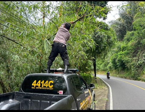 Demi Keselamatan Bersama, Personil Polsek Cikijing Dan Warga Tebang Pohon Bambu Yang Menjulur Ke Jalan